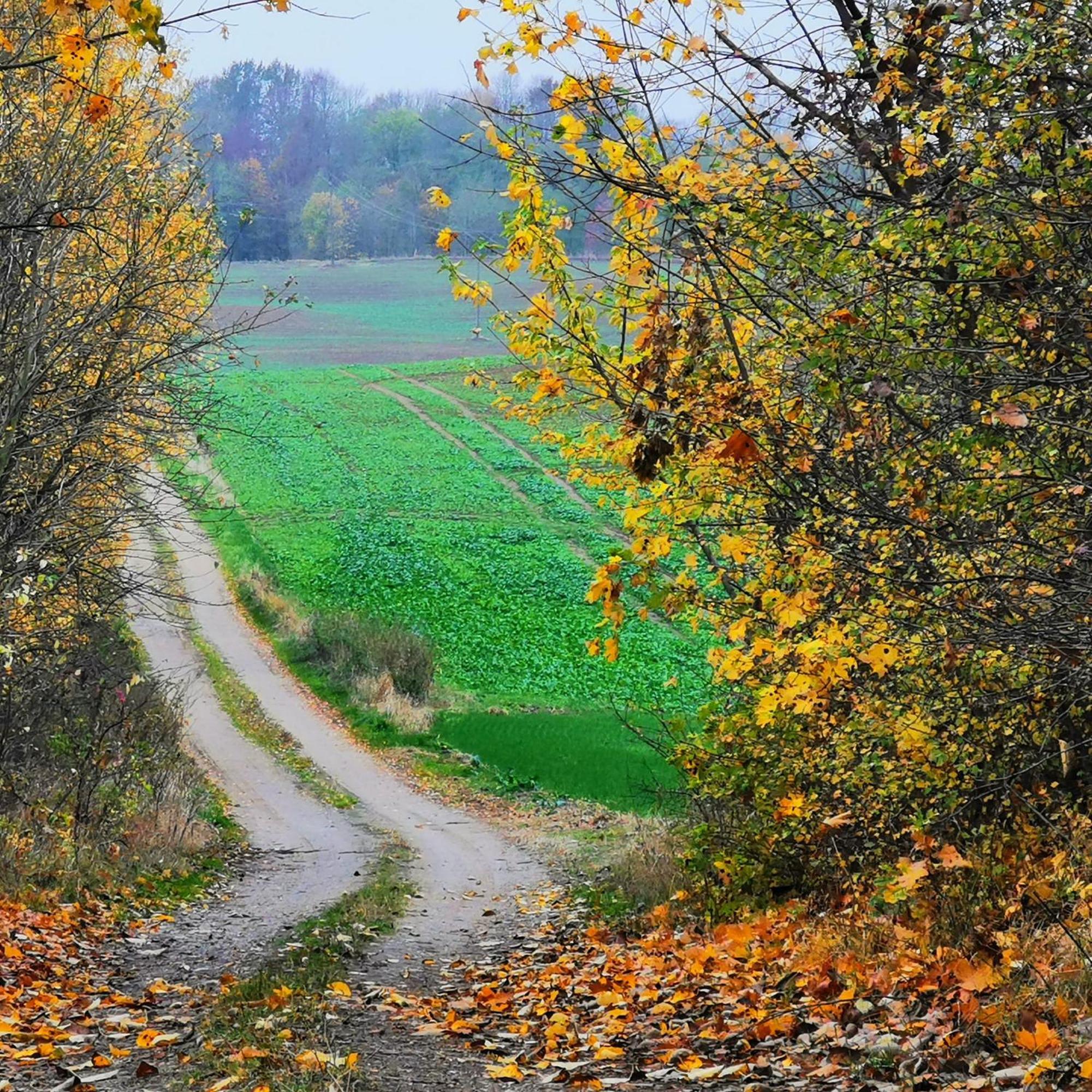 Poza Zgielkiem *